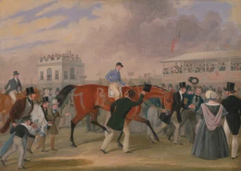 The Derby Pets - The Winner